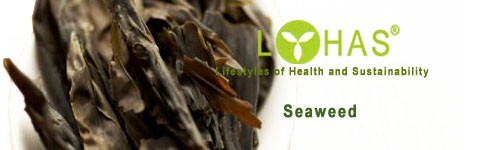 Seaweed